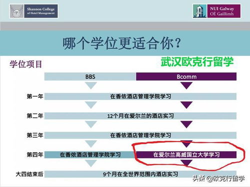 愛爾蘭香儂酒店管理學(xué)院與國立高威大學(xué)酒店管理專業(yè)申請?jiān)斀? />
</span>
<span id=